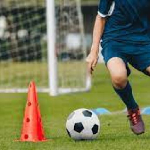 Programa Deportivo de Entrenamiento Personalizado thumbnail